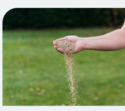 15% korting op de Droog Gazon Herstel Kit van MOOWY