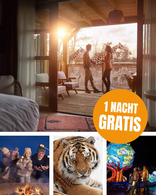 Beekse Bergen 🦒 1 nacht gratis bij verblijf