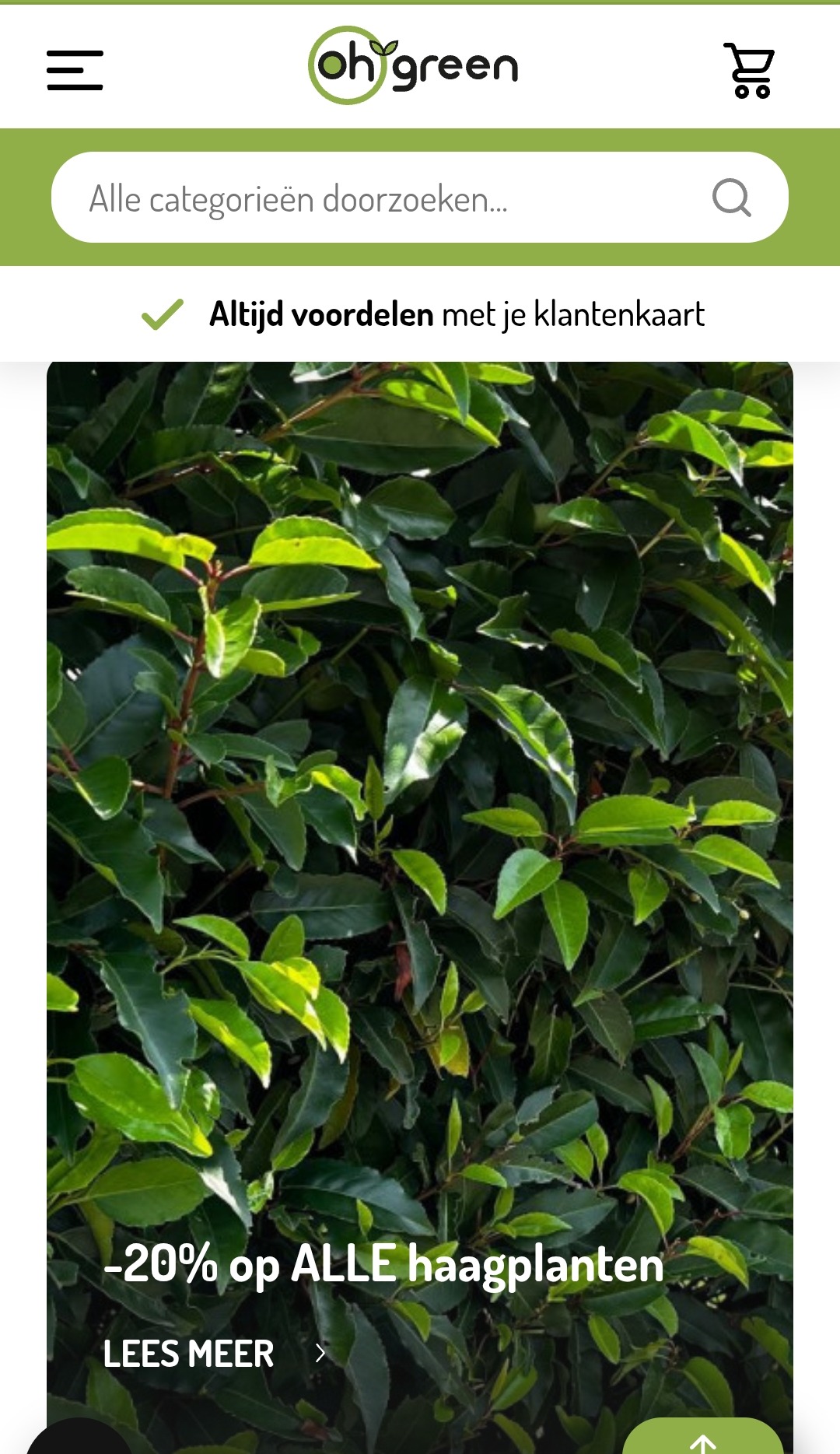 20% op haagplanten bij OH'green
