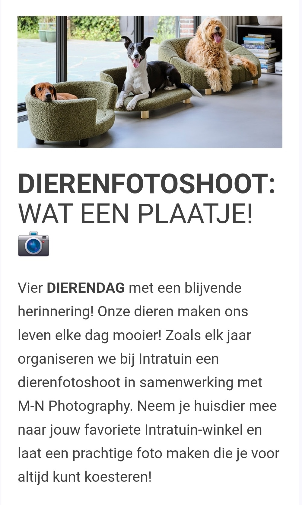 Gratis dierenfotoshoot bij Intratuin