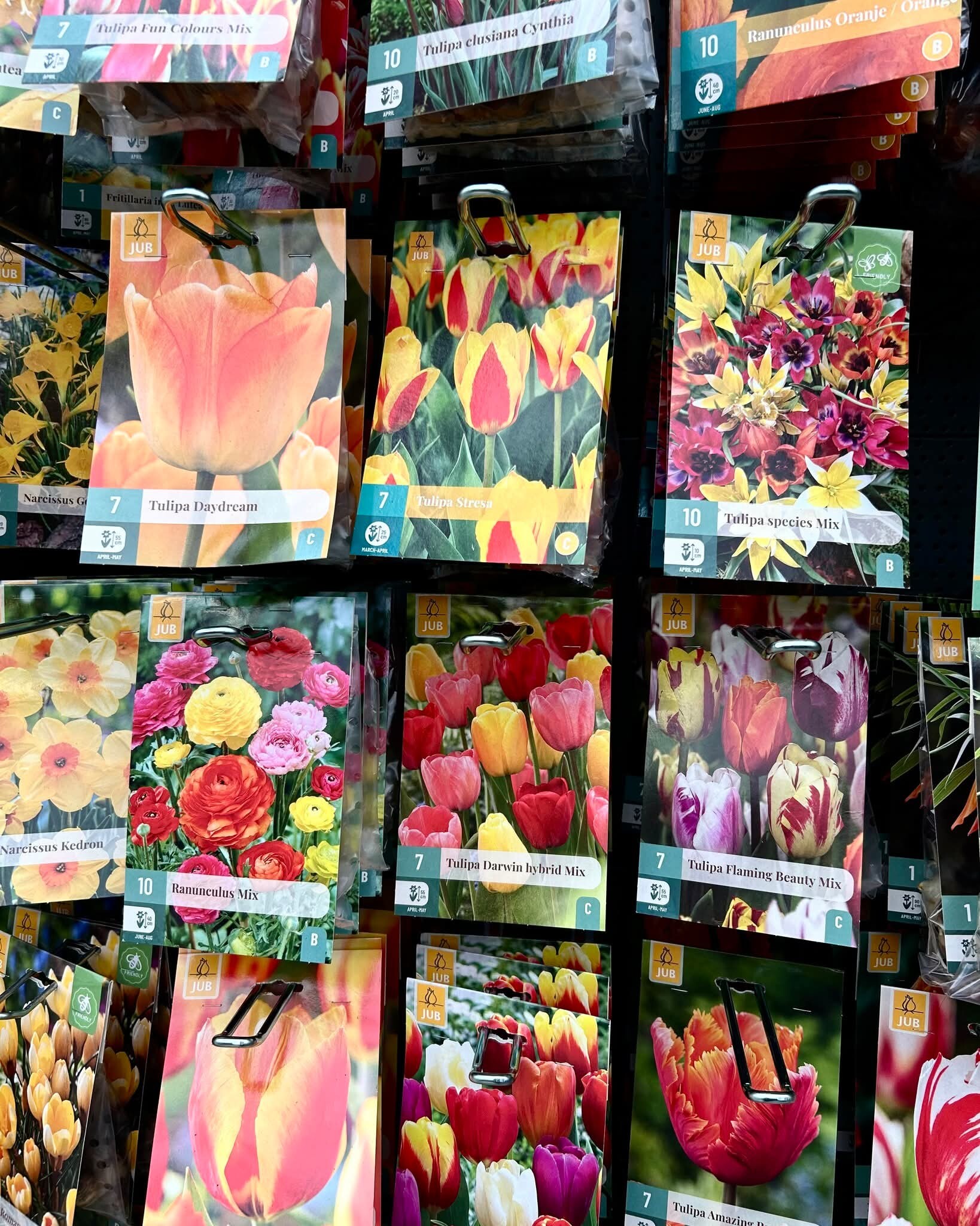 1 kopen = 1 gratis op bloembollen bij Eurotuin