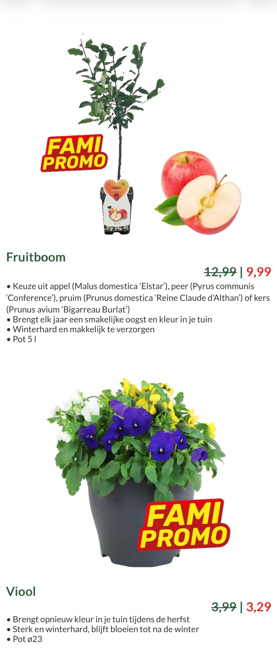 Famifloradeals