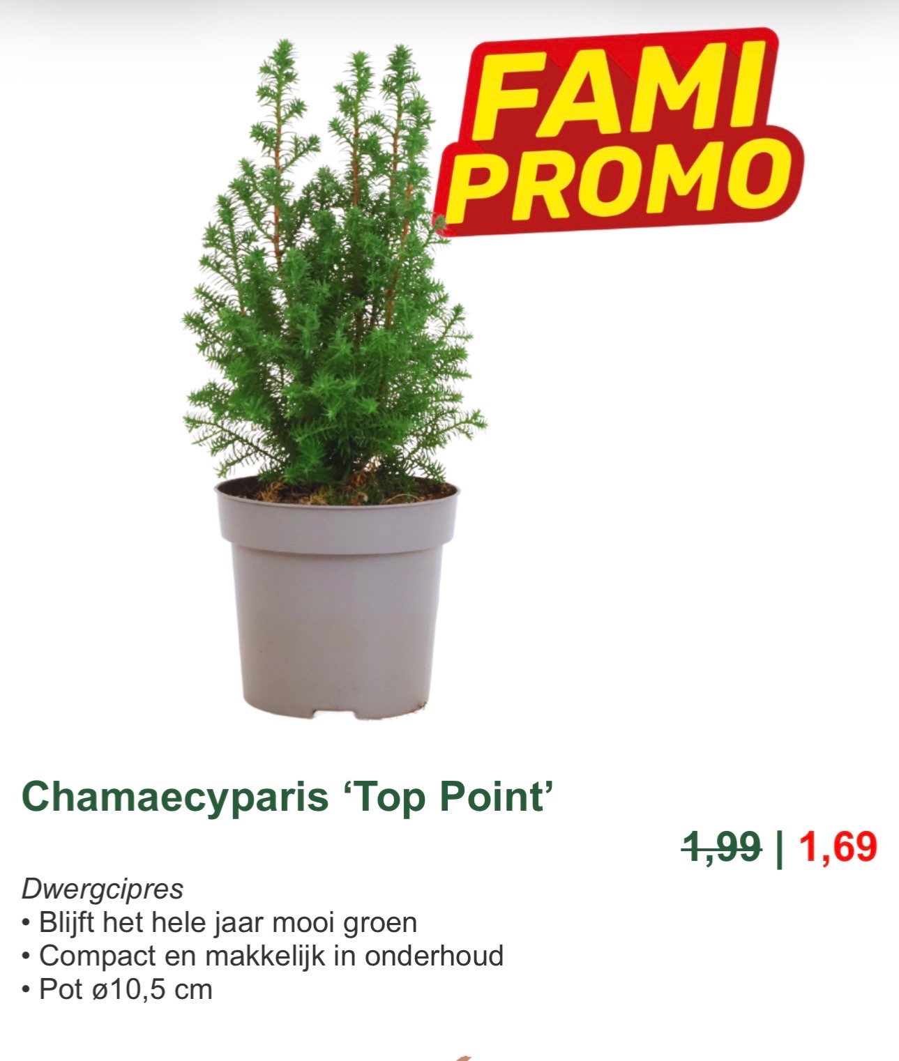 Famiflora deals