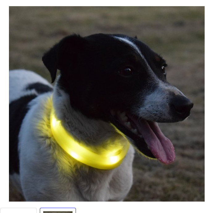 Honden halsband met lichtjes ideaal voor meer zichtbaarheid in het donker van Duvoplus