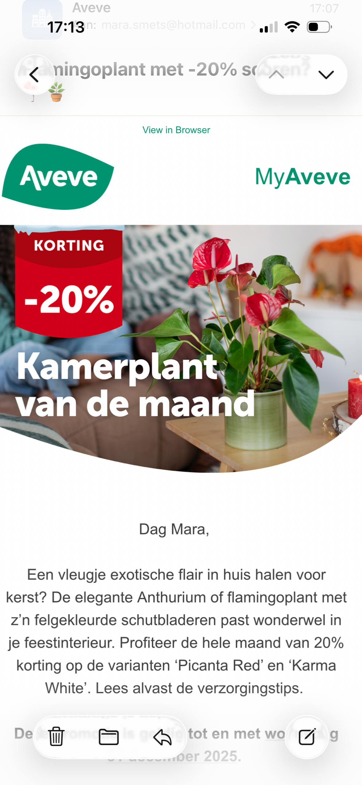 -20% op kamerplant van de maand