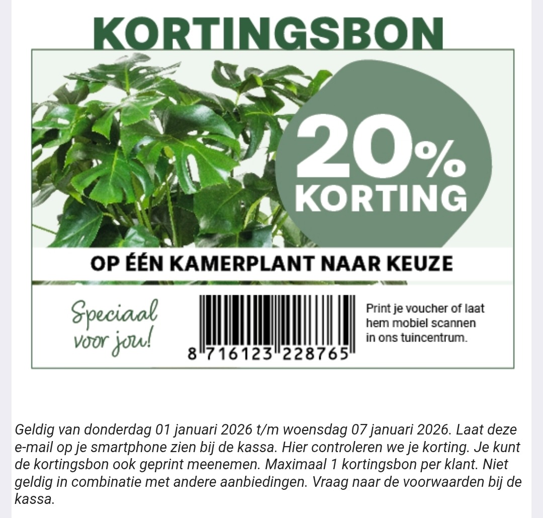 20% korting op één kamerplant naar keuze