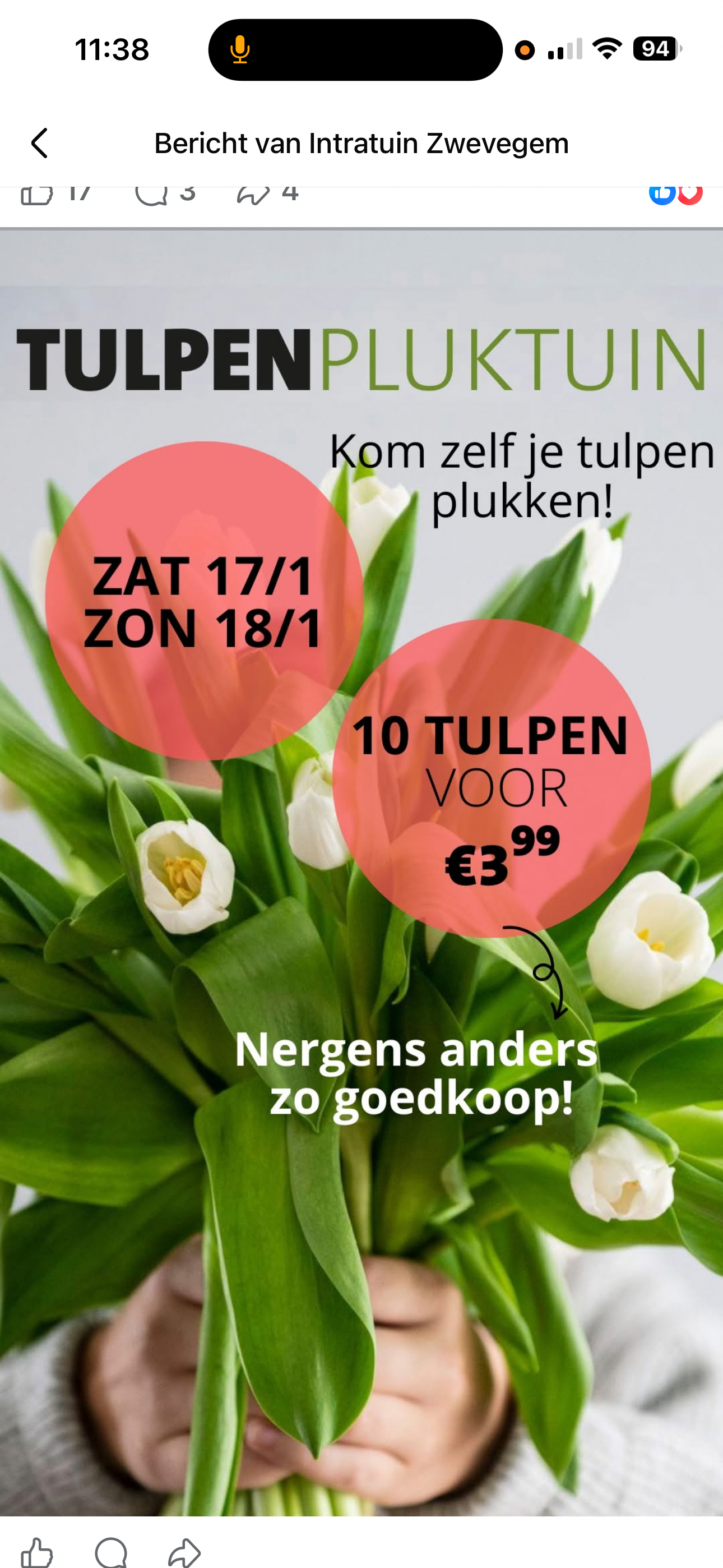 Tulpenpluktuin