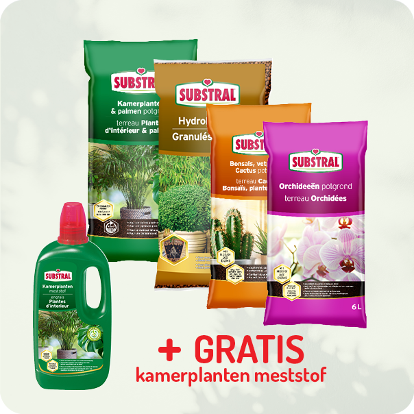 kamerplantenmeststof