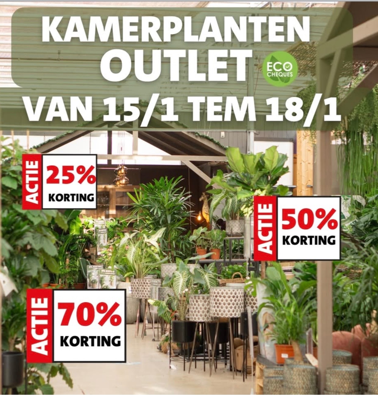 Kamerplantenoutlet Intratuin Zwevegem tot -70%