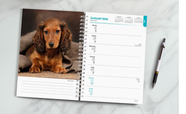 Teckel liefhebbers? Koop nu deze leuke agenda met 72% korting