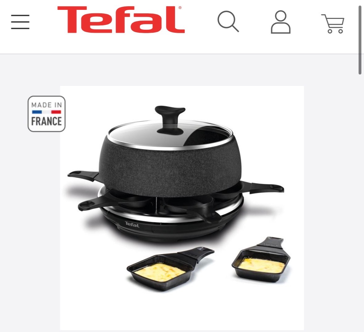 Tefal Raclette- en fonduetoestel