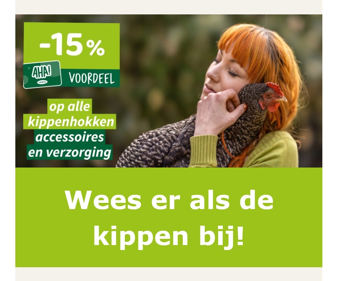 Horta kippendagen 🐔🐔🐔