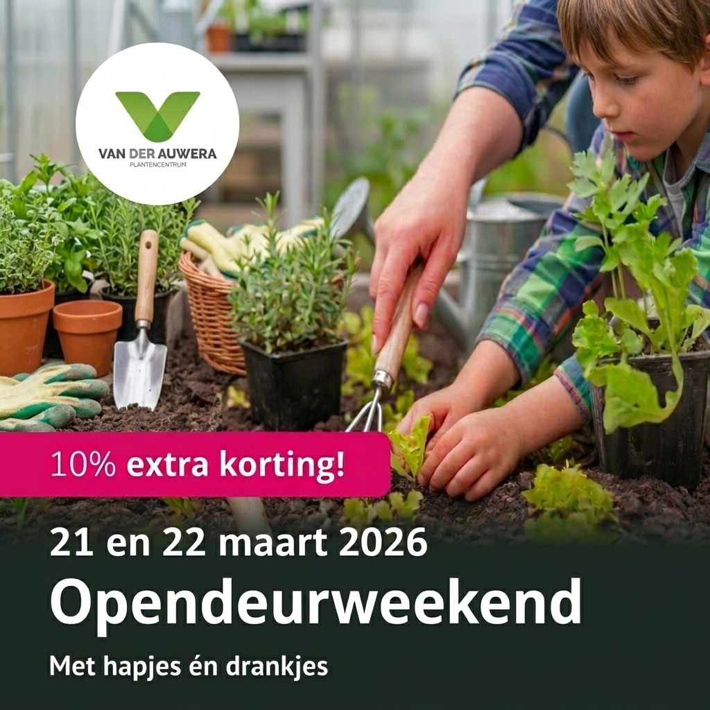-10% tijdens opendeurweekend Van der Auwera 🌿✨