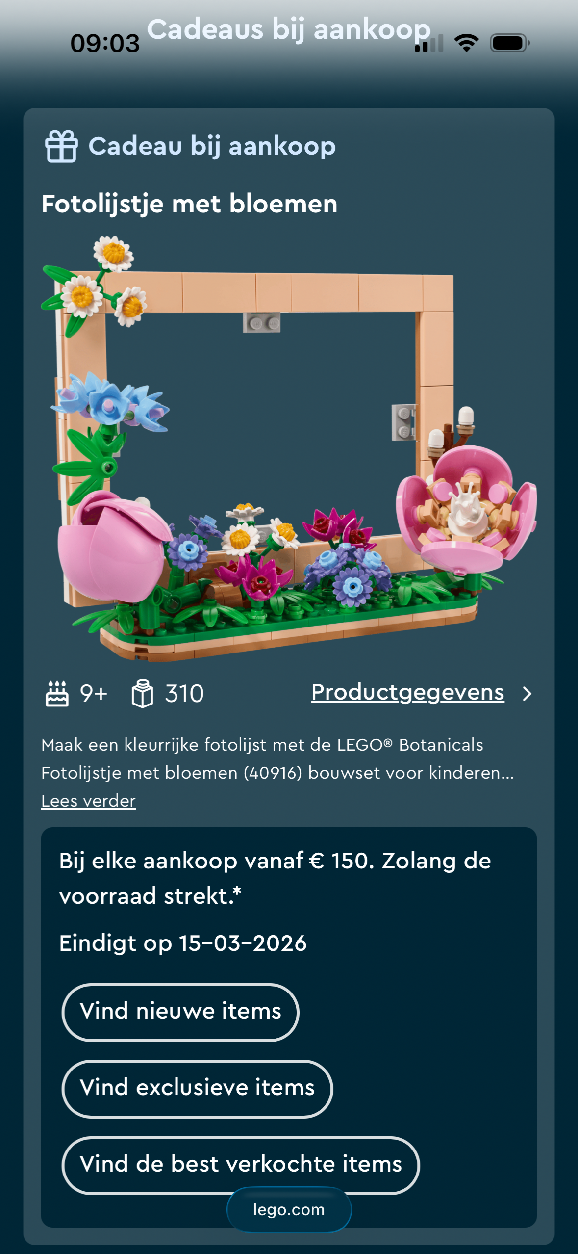 Gratis fotolijst LEGO 🌸