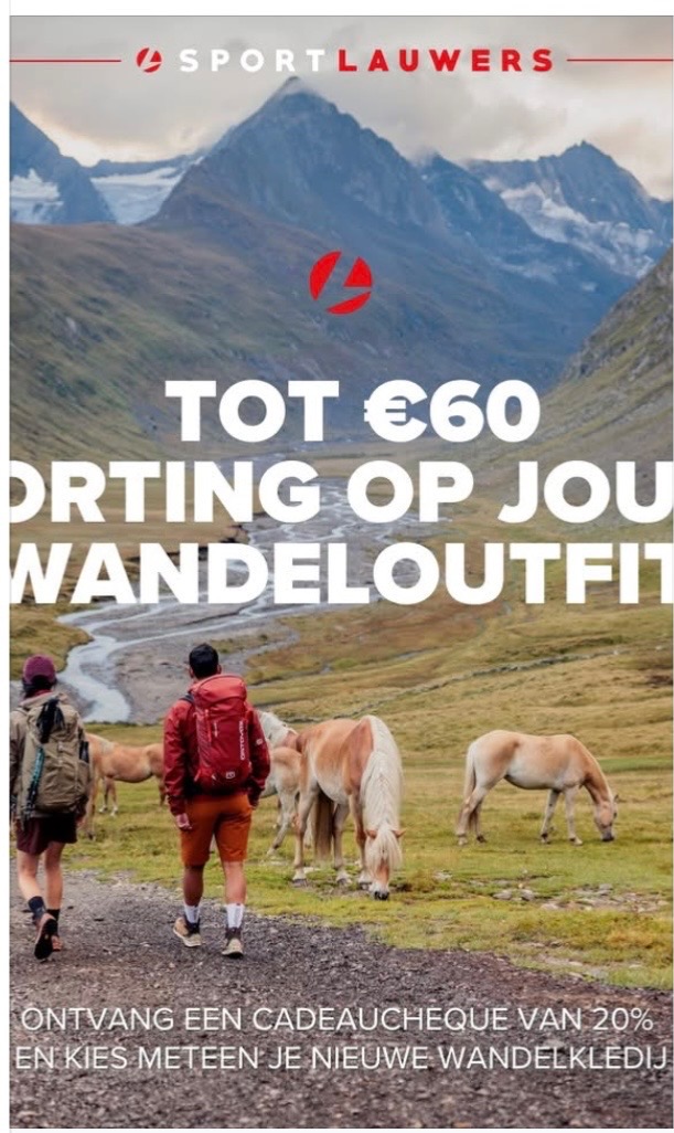 Wandelschoenen