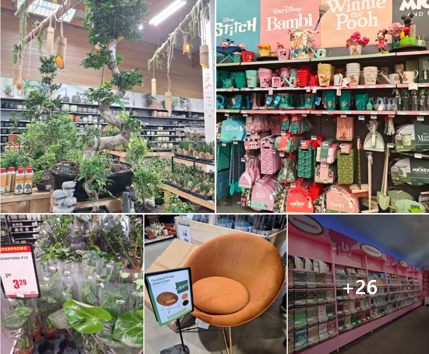 Naar Famiflora voor hele lage prijzen op alles van planten/tuin, decoratie, drank, voeding,...