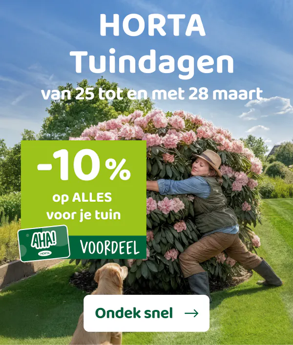AHA! 10% korting, da's mooi meegenomen!