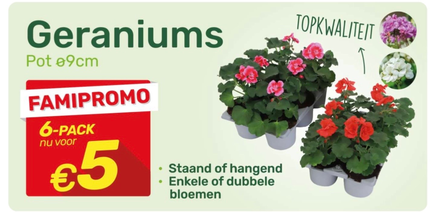 Bloemen, planten, dierenvoeding