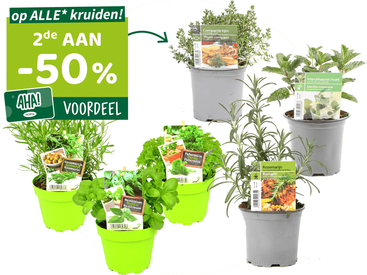 Kruidendagen bij Horta