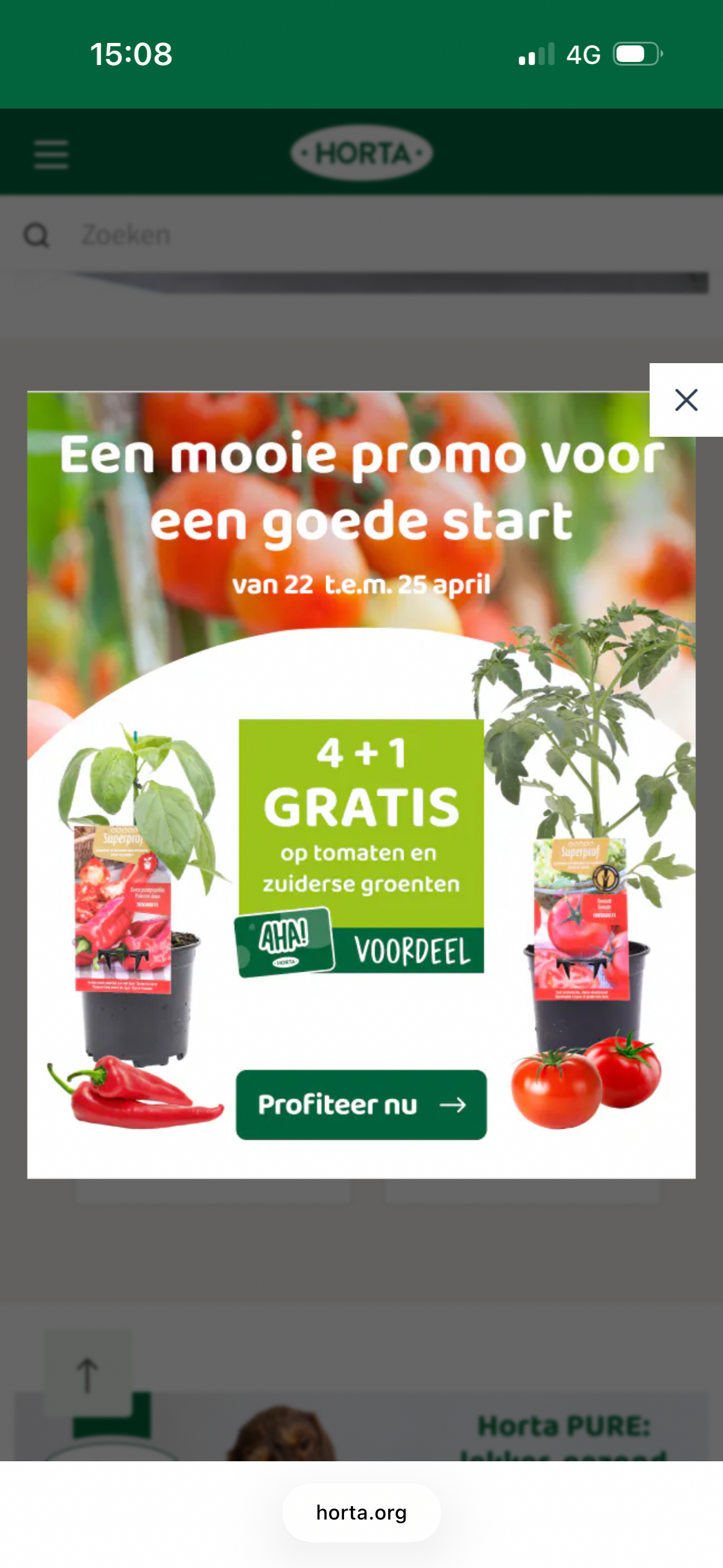 Actie op tomaten en zuiderse groenten
