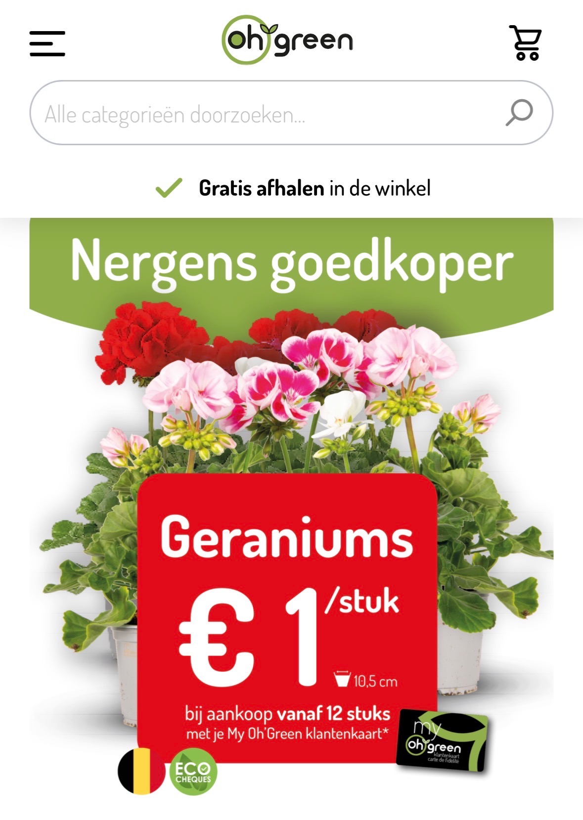 Geraniums koopje Oh’Green
