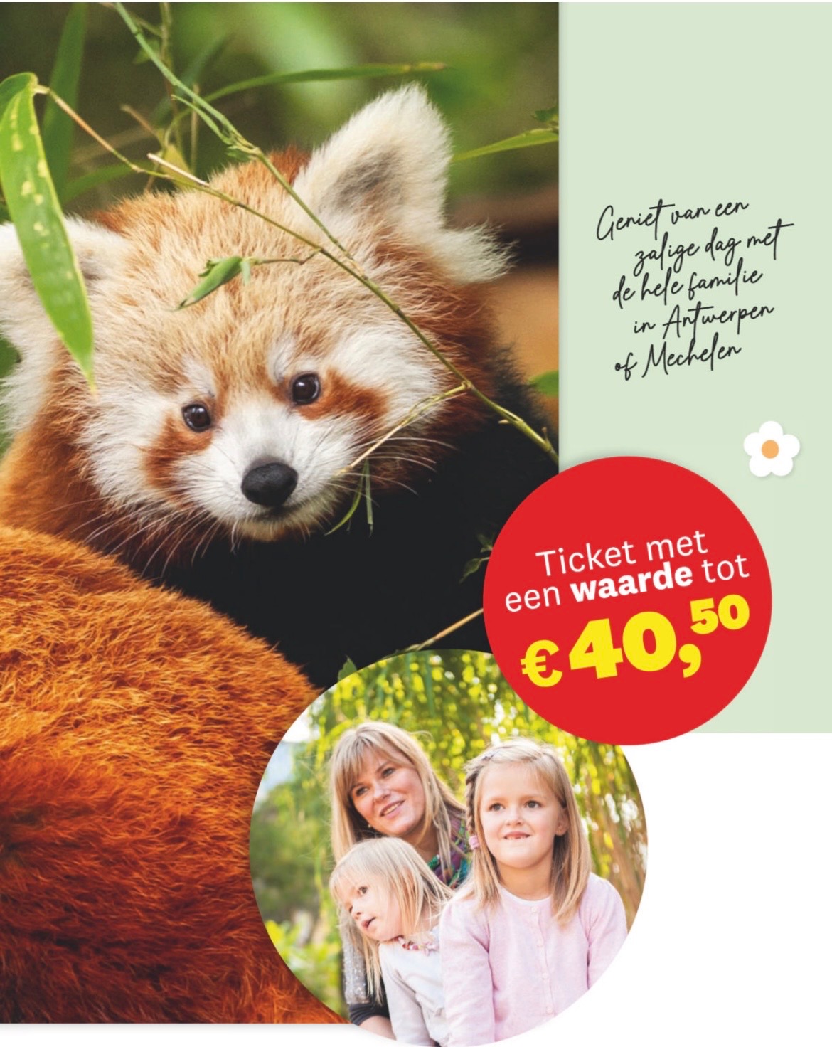 Gratis ticket zoo Planckendael of zoo Antwerpen bij dag allemaal