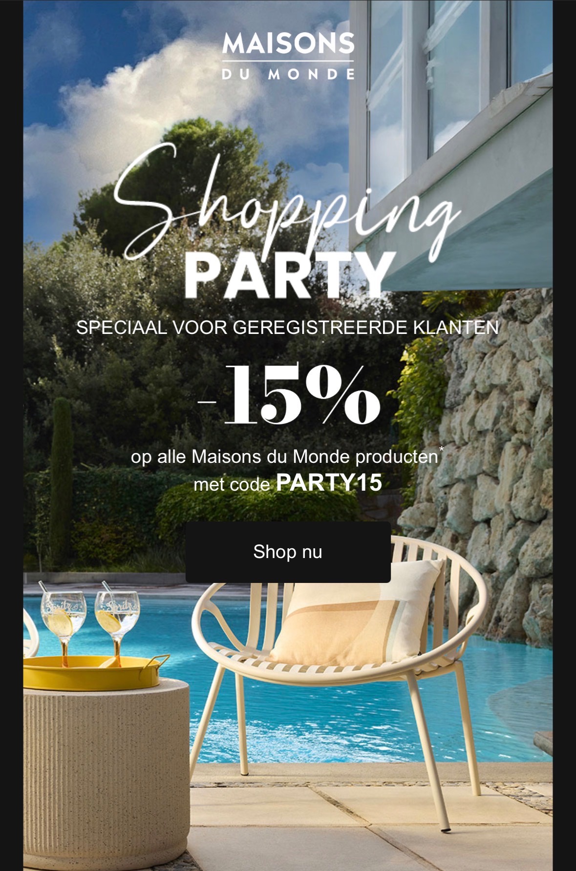 Shopping party