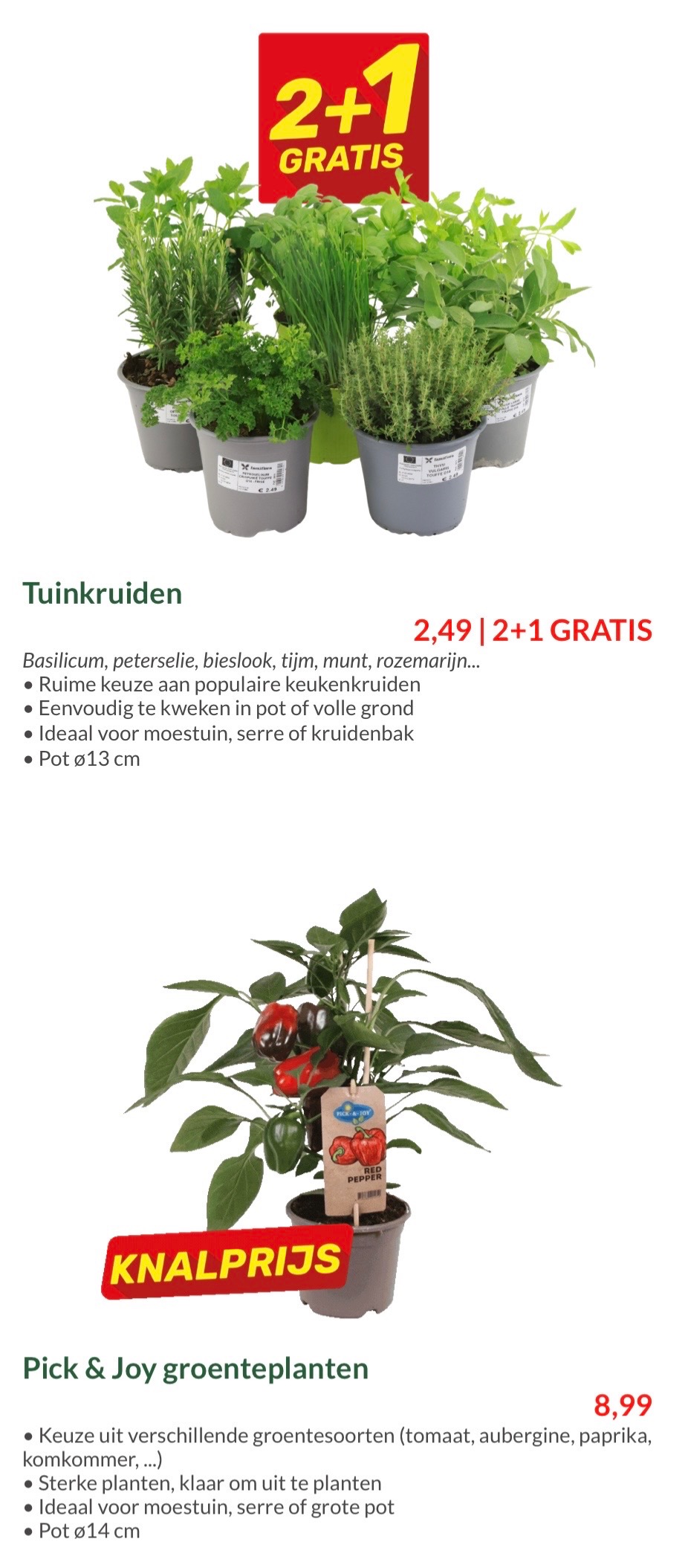 Tuinkruiden, planten
