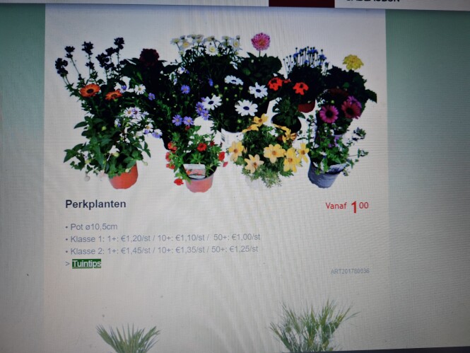 Bij familieflora.be/weekpromoties vind je hee...