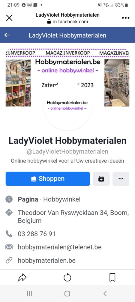 Magazijnverkoop online hobbywinkel in Theodoo...