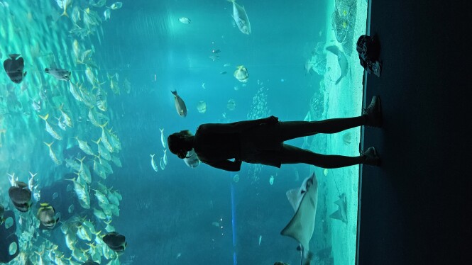 Met 26 ,% korting naar het grootste aquarium van Europa