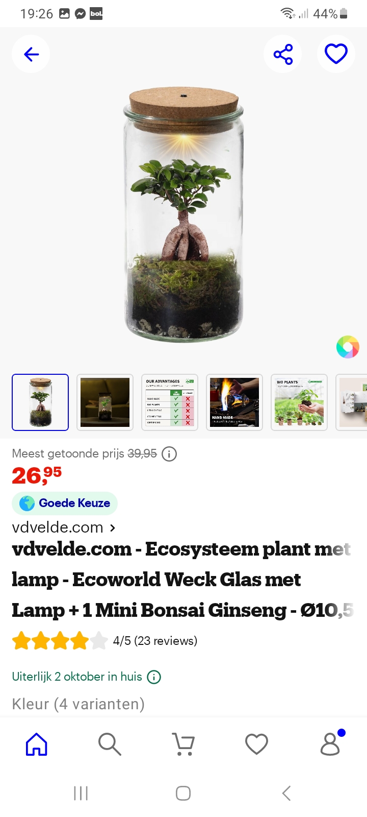 ecosysteem plant met lamp