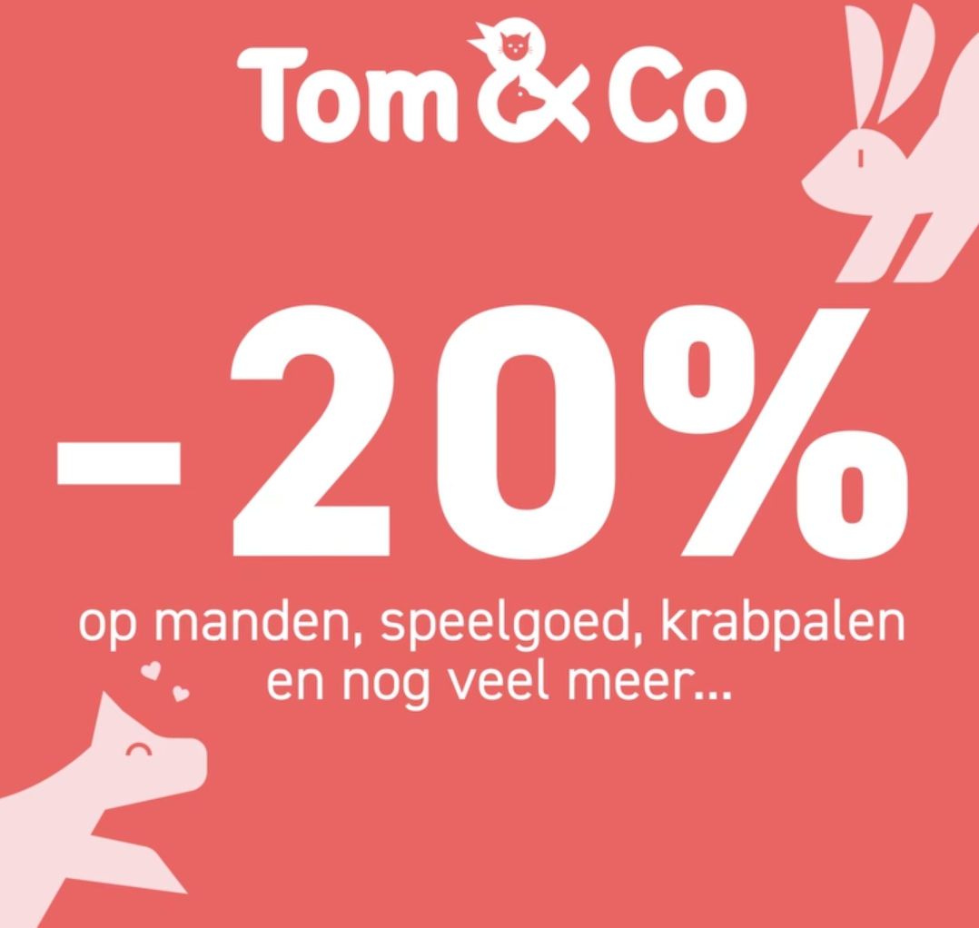 Tom & Co 20%