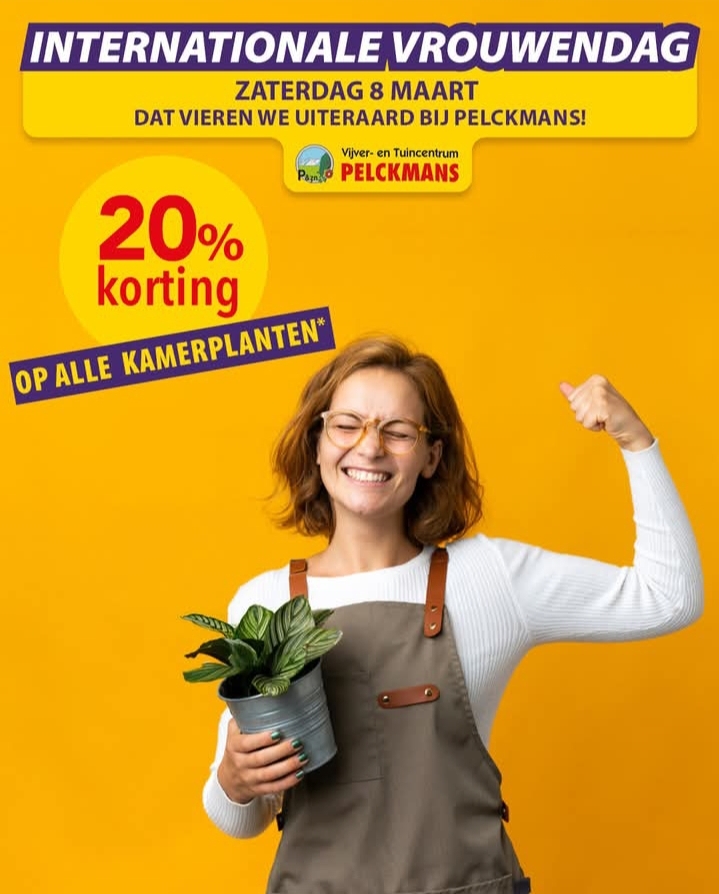 20% korting op alle kamerplanten