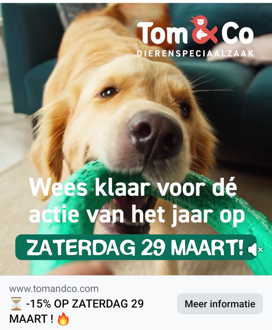 Tom & Co 15% op alles