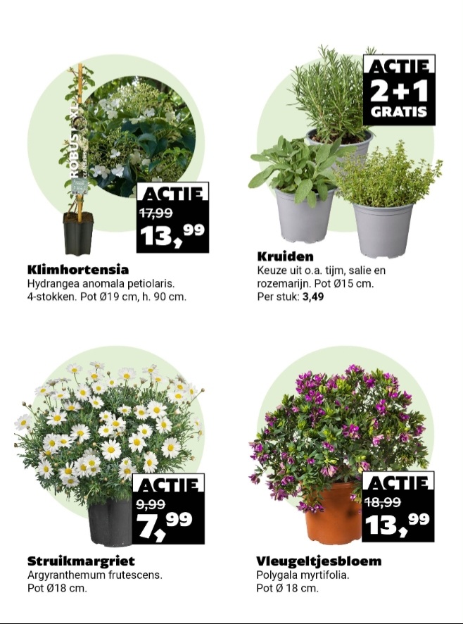 Tuincentrum Meijers tuin promoties