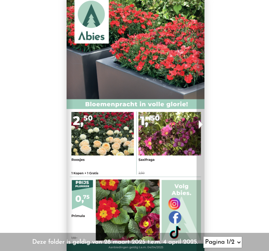 🌺 tot -50% op bloemen/plantjes bij Tuincentrum Abies