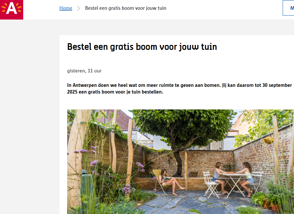Gratis boom voor Antwerpenaren 🌳