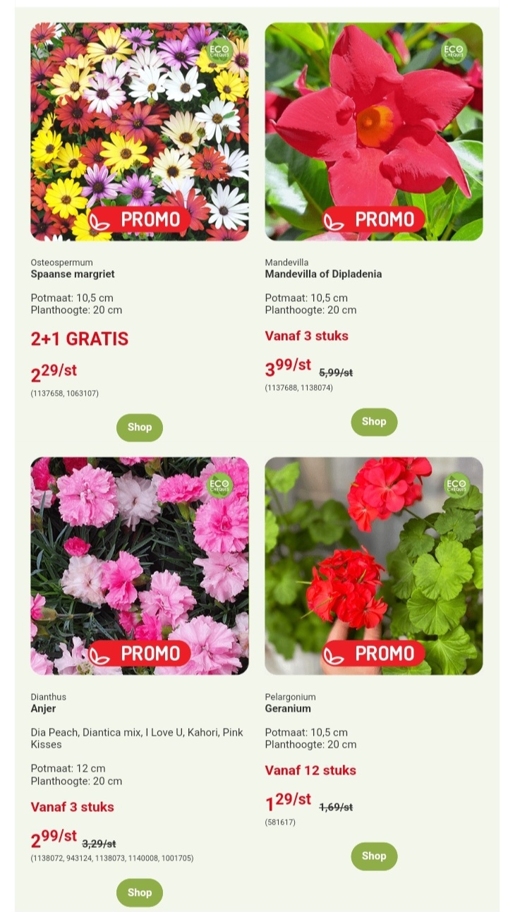 Oh'Green bloemen en planten promoties
