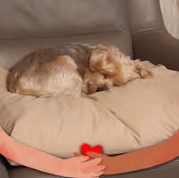 Sandravb1971@outlook.com Van Belle