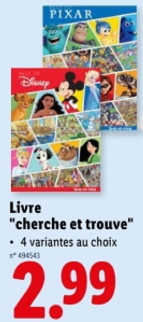 Livre "cherche et trouve"