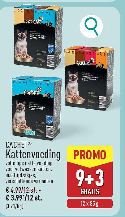Kattenvoeding