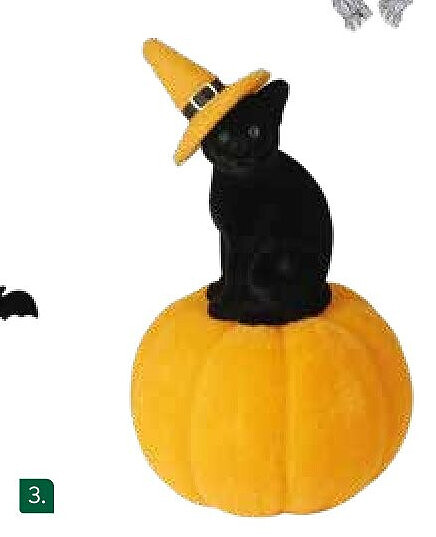 Kat op pompoen decoratief