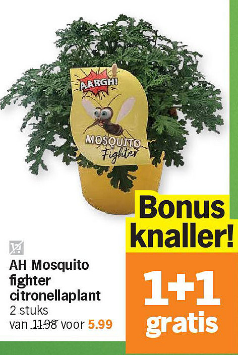 AH Mosquito fighter citronellaplant