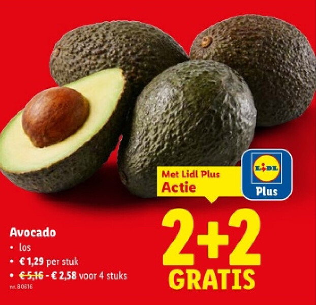 Avocado