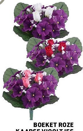 Boeket roze Kaapse viooltjes