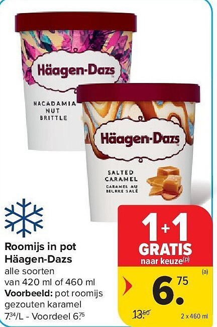Roomijs in pot Häagen-Dazs