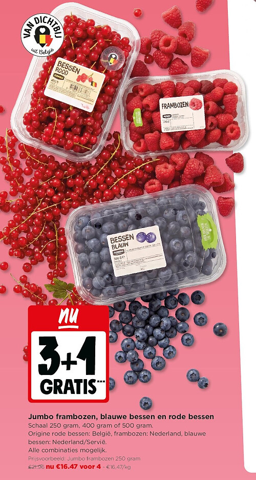 Jumbo frambozen, blauwe bessen en rode bessen
