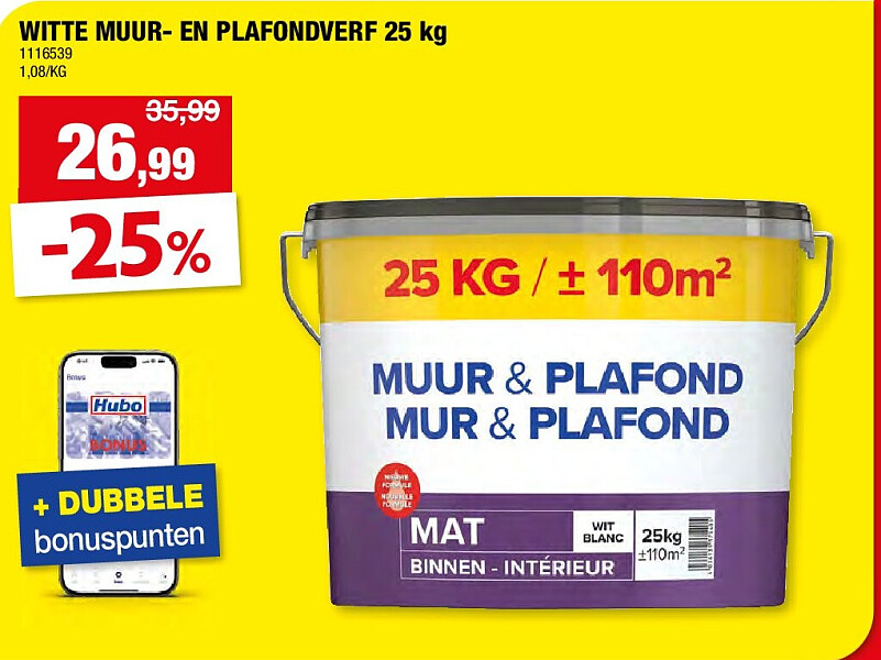 WITTE MUUR- EN PLAFONDVERF 25 kg