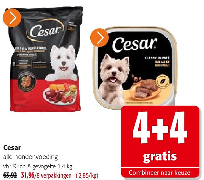 Cesar alle hondenvoeding
